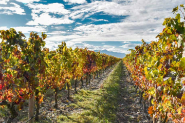 La Rioja