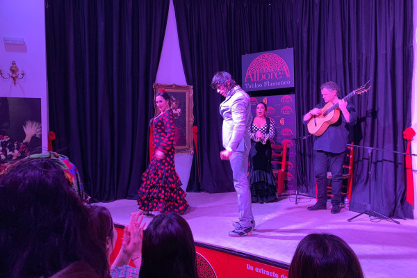 Show flamenco 