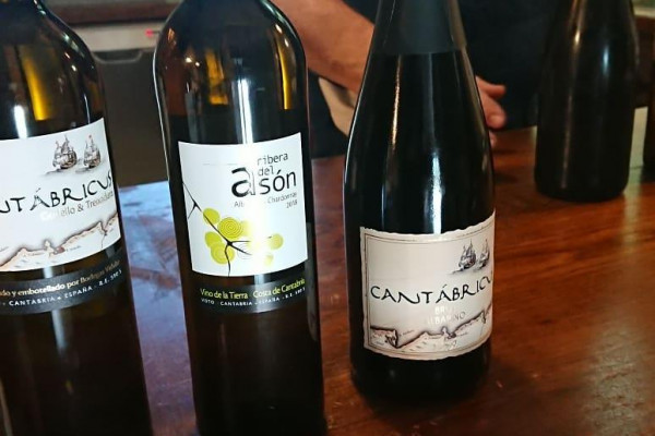 Visita Bodegas Vidular