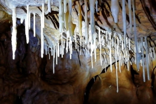 Cueva en Udias