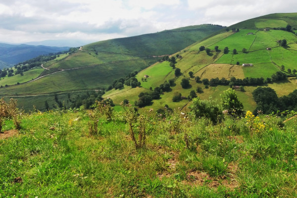 Mirador de la Braguía