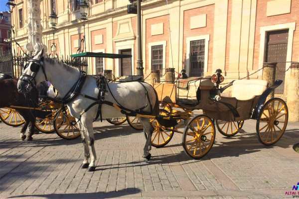 Coche de Caballos