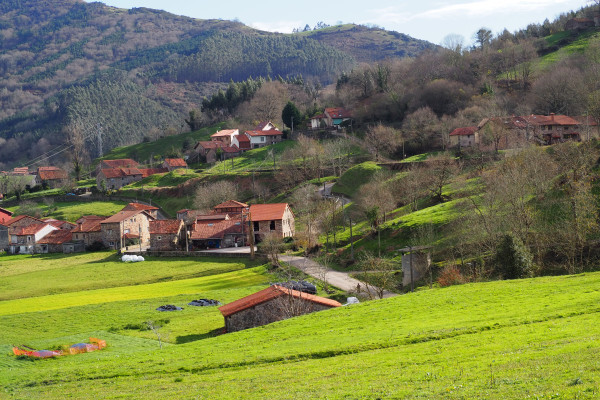 paisaje del camino