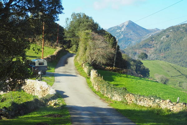 Camino