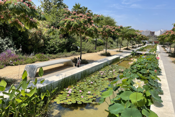 unos de los parques maravillosos de Valencia