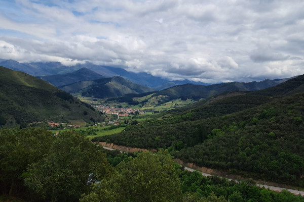 Potes