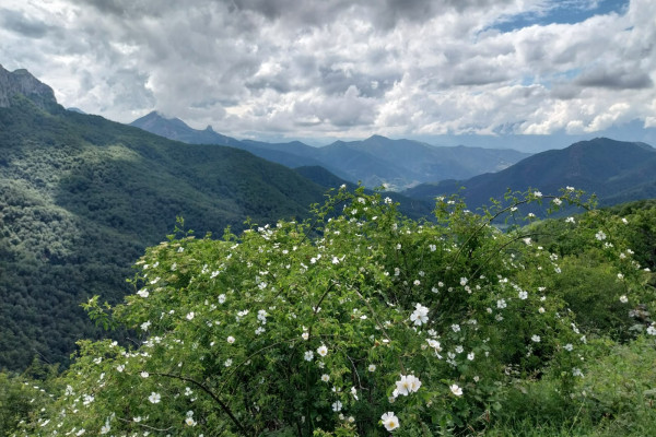 Montañas