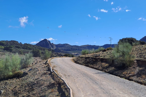 Dehesa de Montejaque 