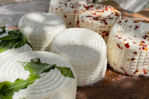 17_MOZZARELLA1