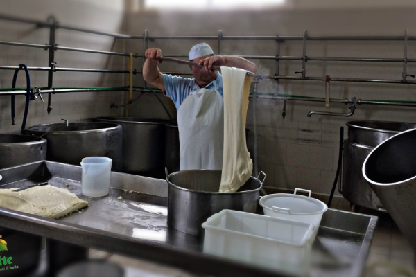 17_MOZZARELLA4
