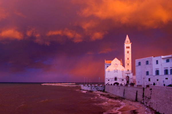 35_TRANI2