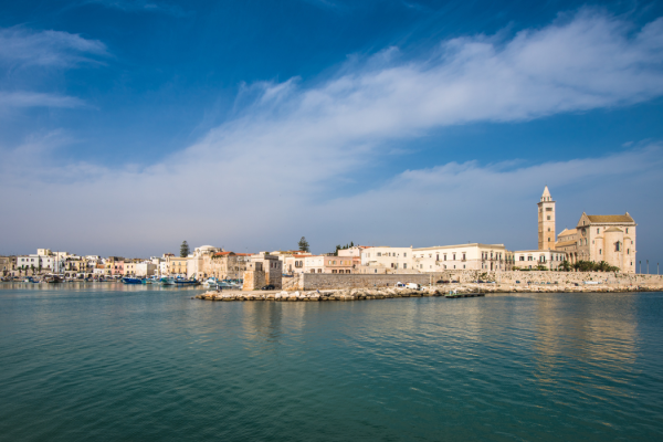 35_TRANI5
