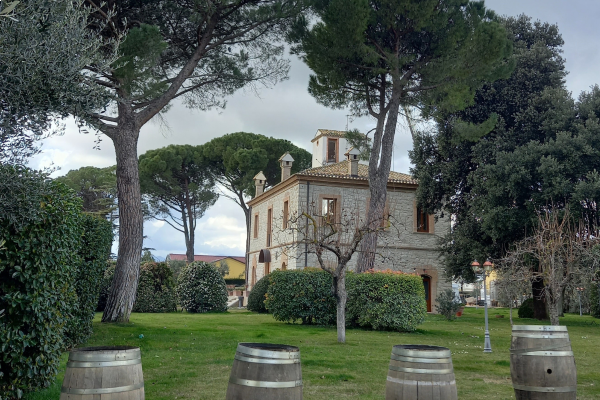 54_WINEMAN3