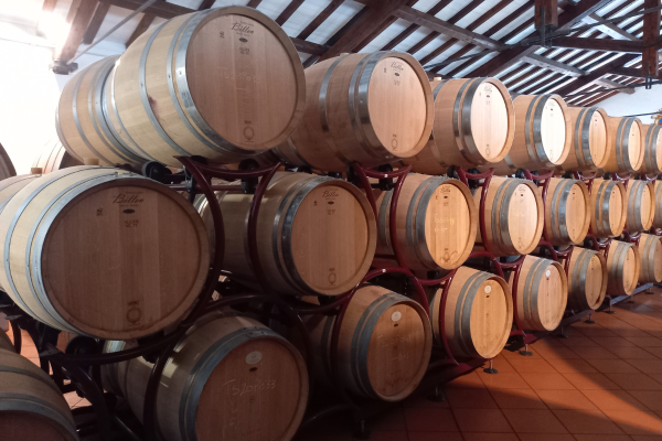 54_WINEMAN6