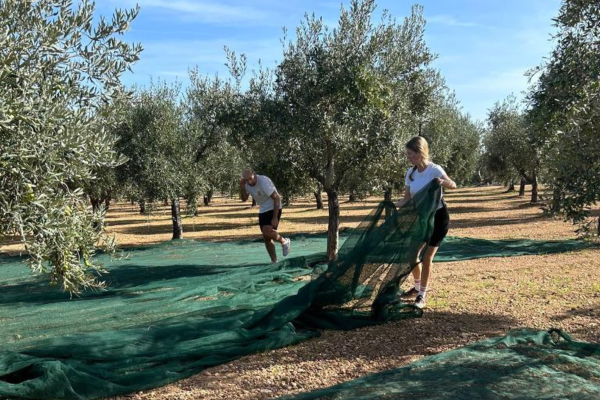 FARMING1