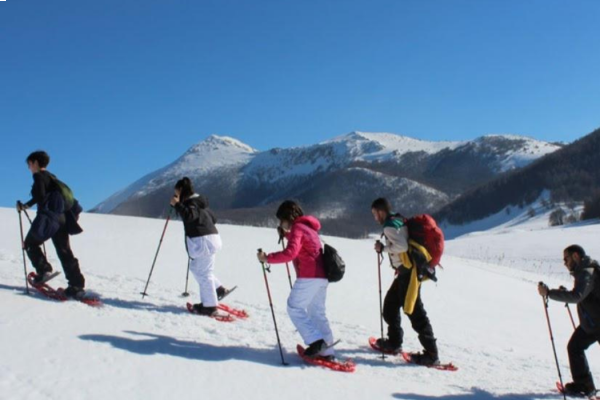 53_SNOWPOLLINO1