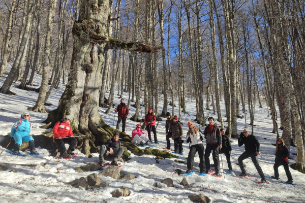 53_SNOWPOLLINO3