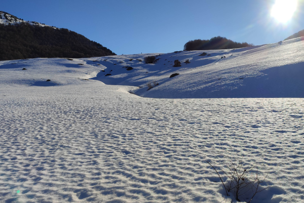 53_SNOWPOLLINO5