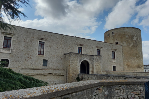 47_VENOSA2