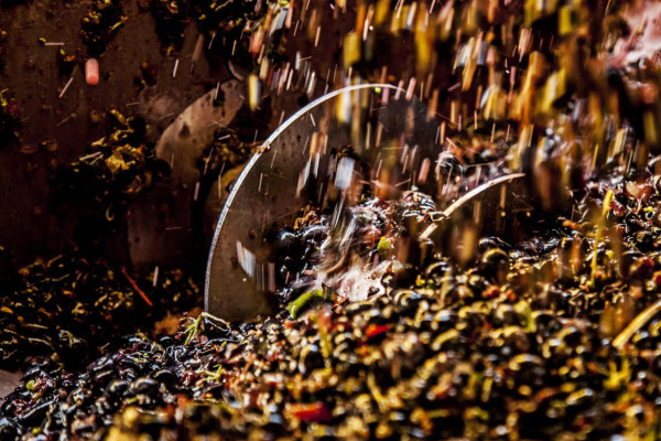 Degustazione Vini Matera DOC