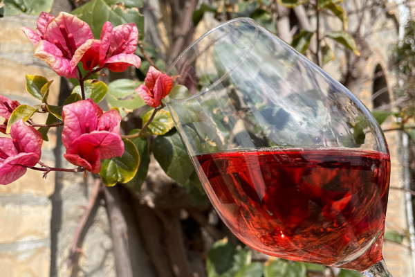 Degustazione Vini Matera DOC