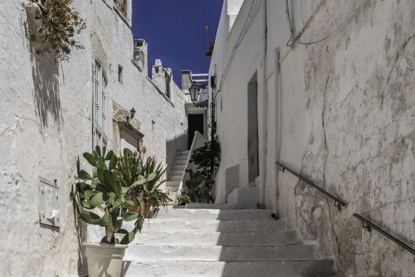 Authentic Routes: Locorotondo, Cisternino & Ostuni con Recogida en Polignano