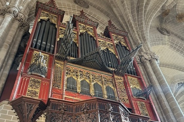 Organo de la catedral