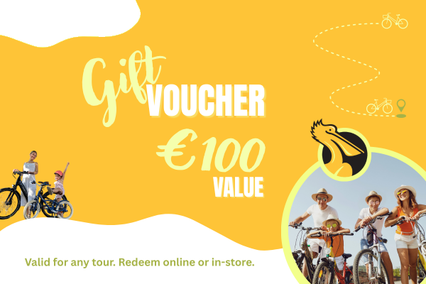 Vale de 100 € – Explora Valencia en bici