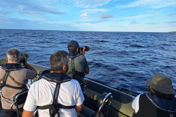 alt="Coordinación entre staff y fotógrafos durante la excursión"