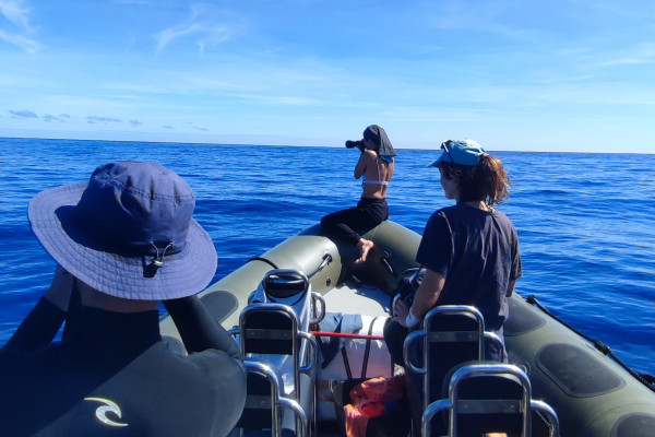 alt="Grupo de visitantes en alta mar listo para fotografiar aves marinas"