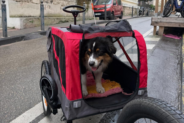 Remolque para perros de hasta 45 kg