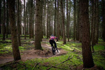 Brunssumerheide -  25 Oktober