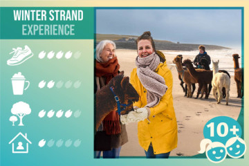 Winter Strand Experience