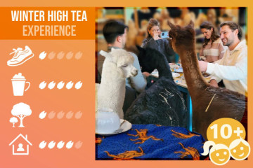 High Tea Experience - Wintereditie