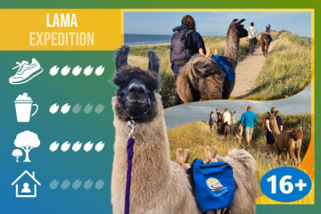 Lama Expedition Zeeland - Wintereditie