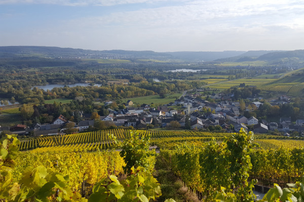 Uitzicht op Wintrange © Vist Moselle Luxembourg