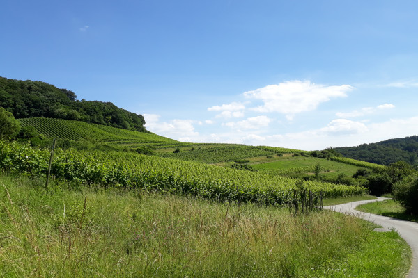 © Visit Moselle Luxembourg