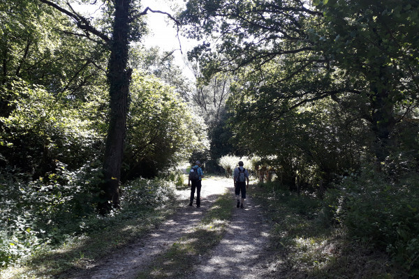 © Visit Moselle Luxembourg