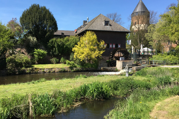 Rit door het natuurreservaat langs talrijke meren