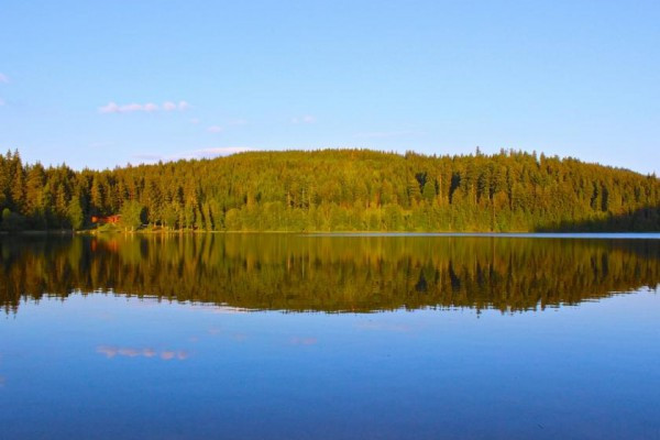 Segway Tour Twee meren Zwarte Woud