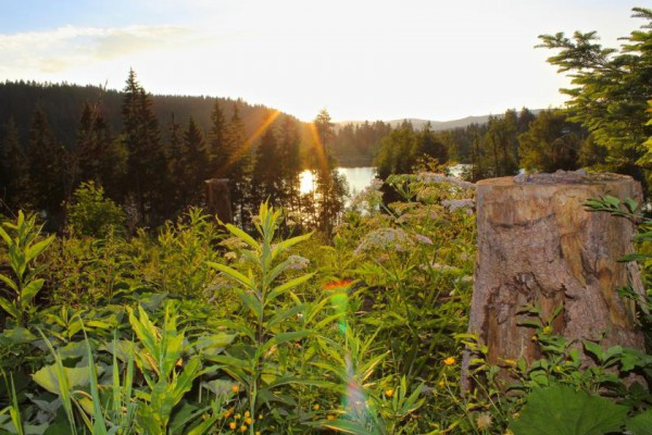 Segway Tour Twee meren Zwarte Woud