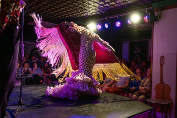 Espectáculo "Flamenco Puro"