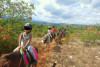 Pony and horse ride all together