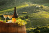 The Exclusive Original Best of Tuscany Tour