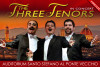 THE THREE TENORS IN FLORENCE - NESSUN DORMA