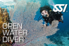 Beginner Dive Certification First Level (SSI) OPEN WATER