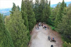 Fiesole & Aperitif e-bike tour from Florence - 4h - Easy