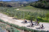 Chianti & Crete, top Tuscany e-bike tour - 2 days - Easy