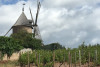 Beaujolais Châteaux and crus - full-day VIATOR