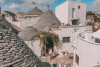 Tour & transfer from Monopoli to Alberobello